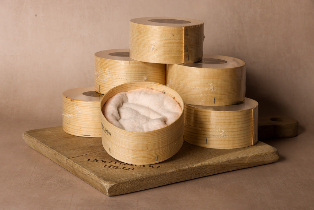 Vacherin Mont d’Or Tyrode - MONS Cheesemongers