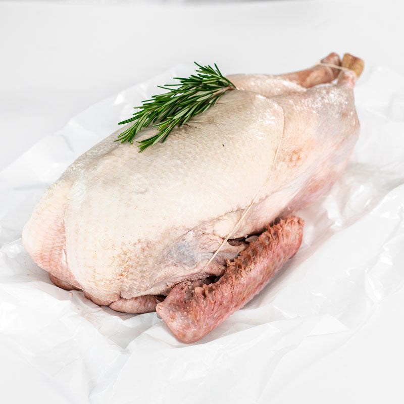 Free Range Suffolk Goose