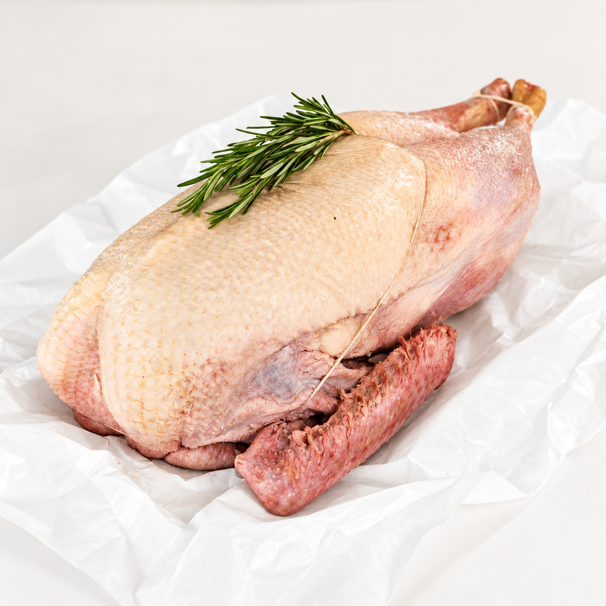 Free Range Suffolk Goose