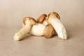 King Oyster Mushrooms - 200g