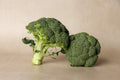 British Broccoli - Each