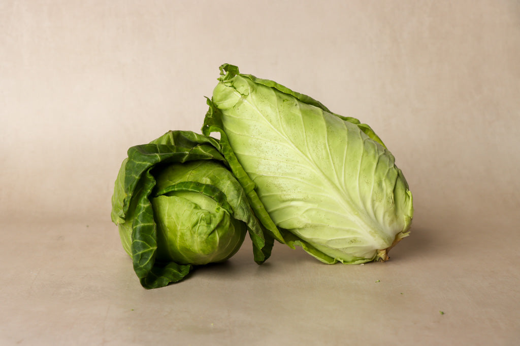 British Hispi Cabbage - Each