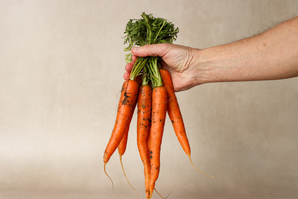 Organic Bunched Carrots - Bunch - Seasonal