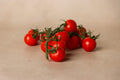 Isle of Wight Tomatoes - Winter Cherry Vine Tomatoes - 250g